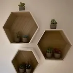 American Garden House Apartament *