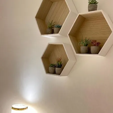 American Garden House Nettuno