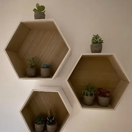 American Garden House Apartment *