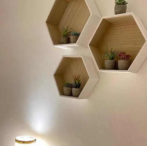 American Garden House Nettuno