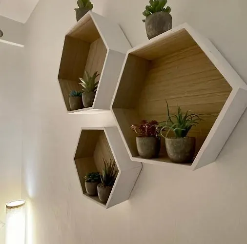 American Garden House